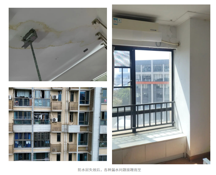 微信图片_2026-06-05_162314_122.png