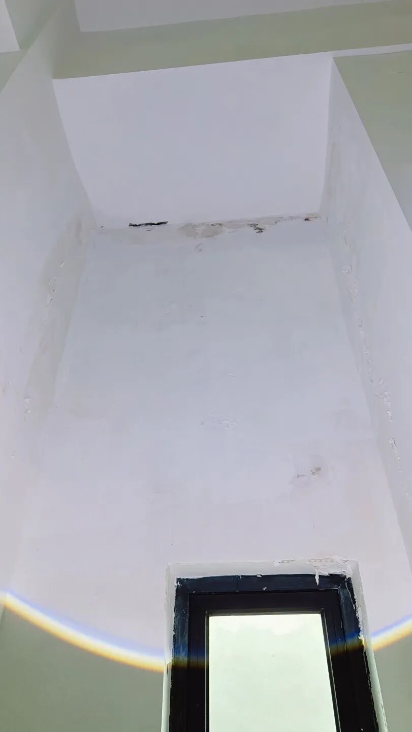 6405.jpg